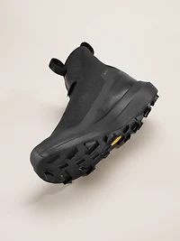 Norvan 4 Nivalis GTX Shoe