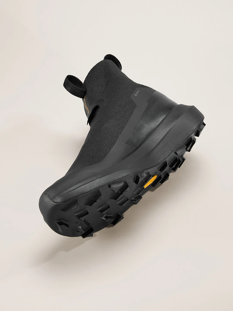Norvan 4 Nivalis GTX Shoe