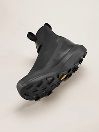 Norvan 4 Nivalis GTX Shoe