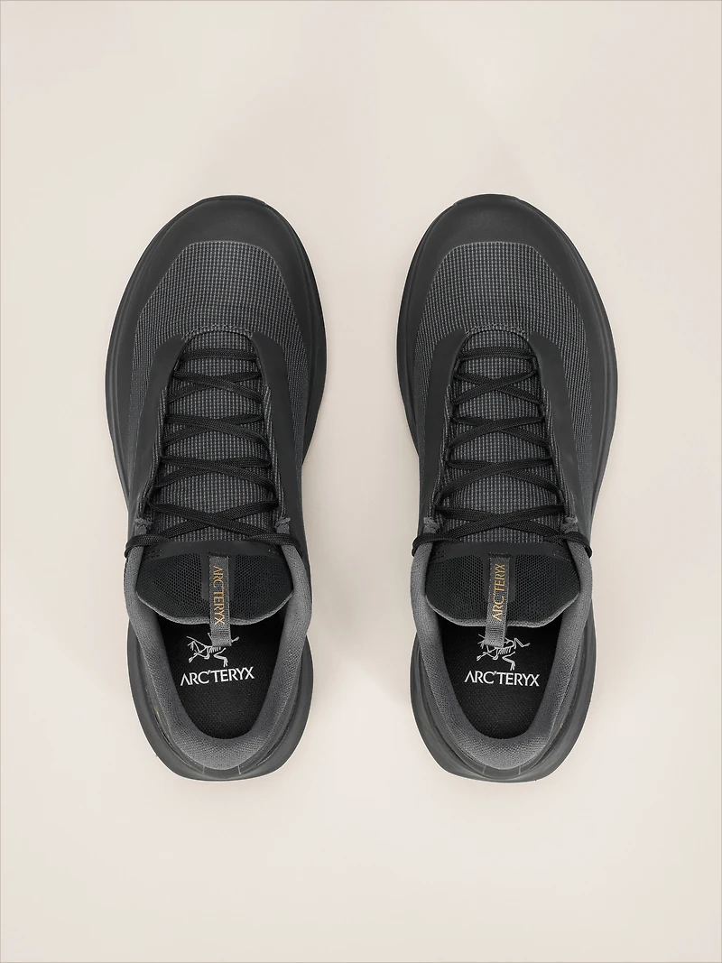 Norvan LD 4 GTX Shoe Men's