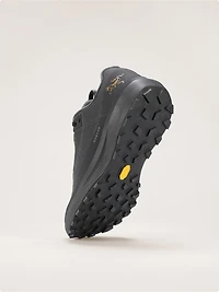Norvan LD 4 GTX Shoe Women's