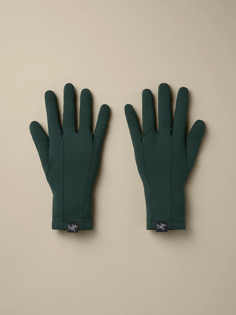 Rho Glove