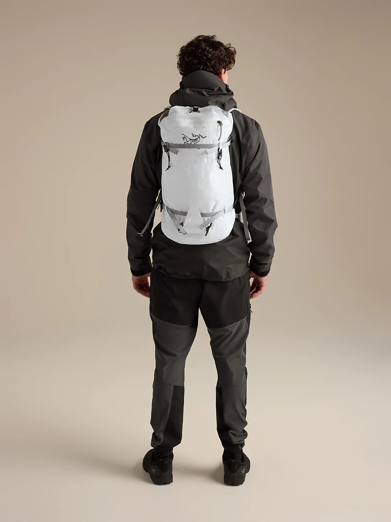 Alpha SL 30 Backpack