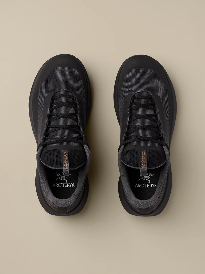 Norvan LD 4 GTX Shoe