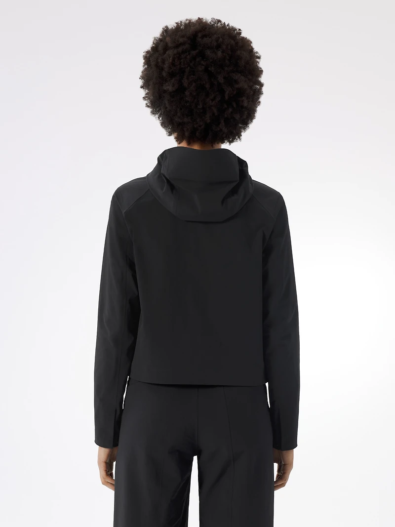 Focal Hoody