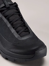 Vertex Alpine GTX Shoe