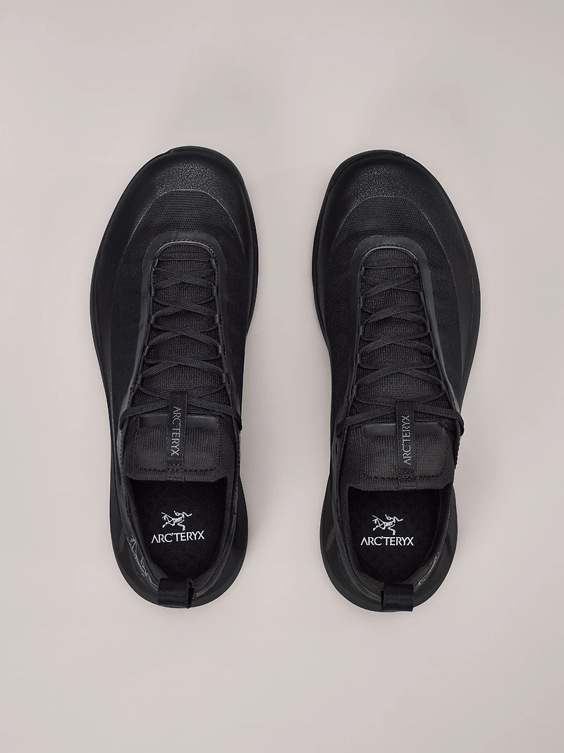 Vertex Alpine GTX Shoe