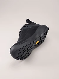 Vertex Alpine GTX Shoe