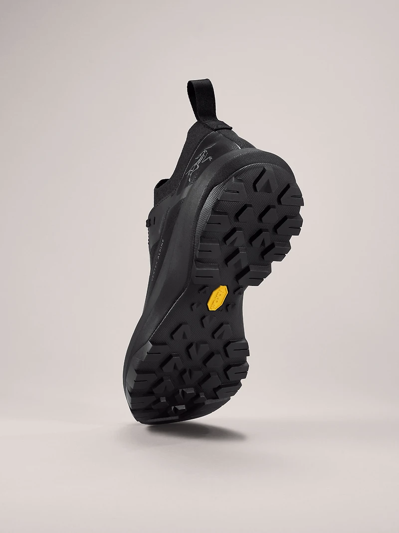 Vertex Alpine GTX Shoe