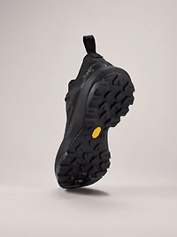 Vertex Alpine GTX Shoe