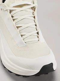 Norvan LD 4 GTX Shoe Women's