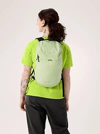 Konseal 15 Backpack