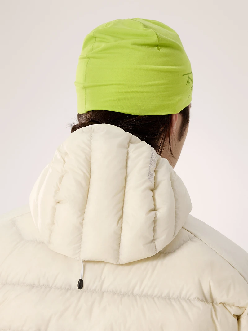 Satoro Merino Toque