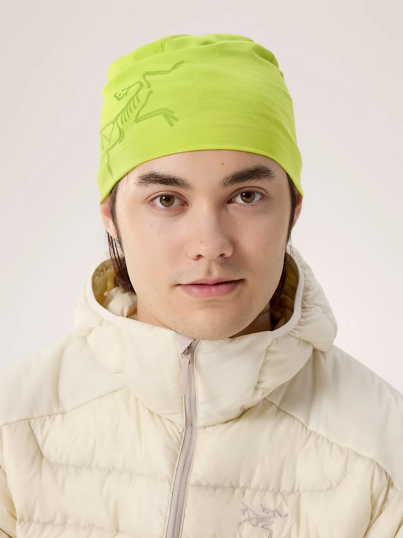 Satoro Merino Toque