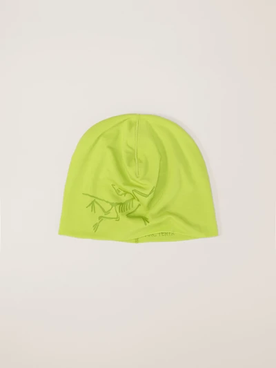 Satoro Merino Toque
