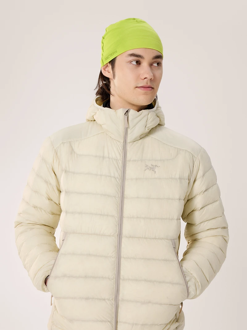 Satoro Merino Toque