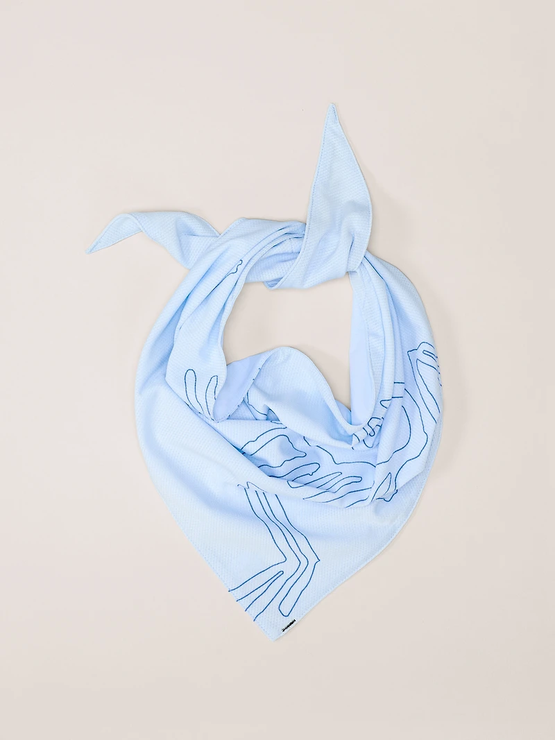 Sinsolo Bandana
