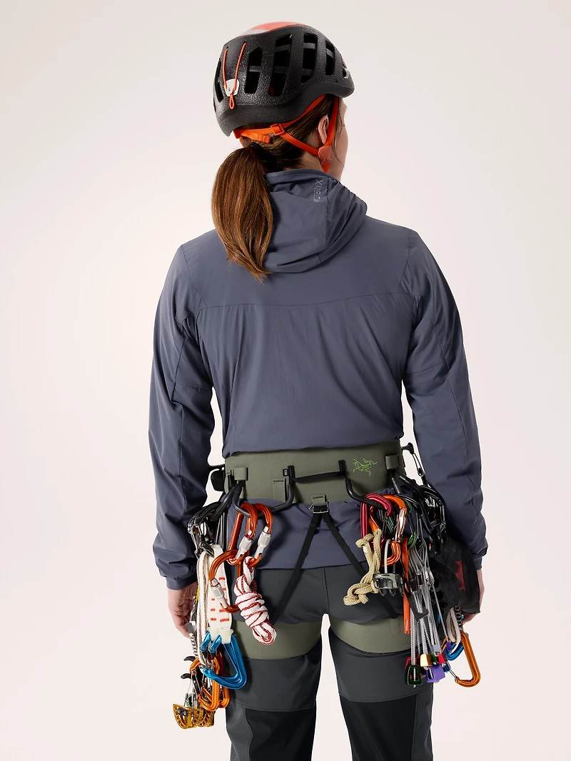 AR-385a Harness