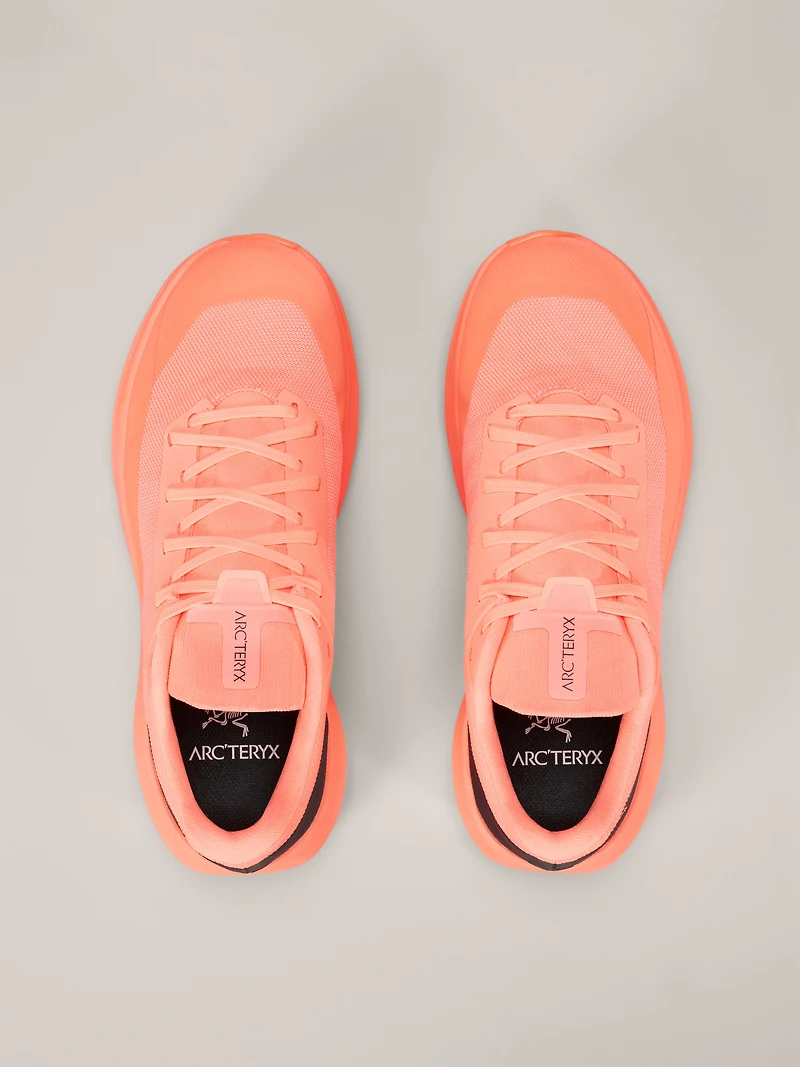 Norvan LD 4 Shoe