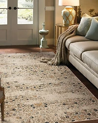 Touchstone Eme Area Rug, 3'6" x 5'6"