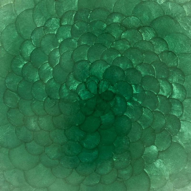 Capiz Shell Ombré Placemat