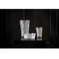 Merles & Raisins Large Clear Vase