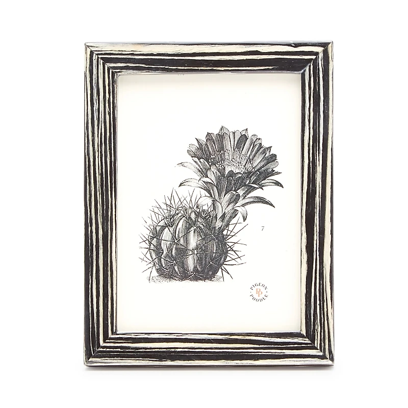 Pigeon & Poodle Steinfeld Lacquered Frame, 5 x 7