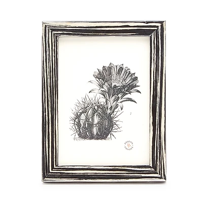 Pigeon & Poodle Steinfeld Lacquered Frame, 5 x 7