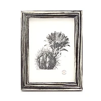 Pigeon & Poodle Steinfeld Lacquered Frame, 5 x 7