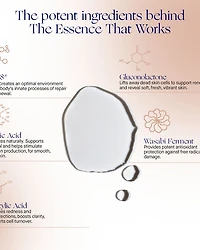 The Essence 3.4 oz.