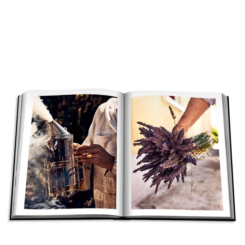 Louis Vuitton Book