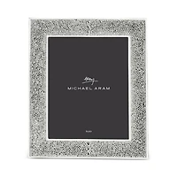 Shagreen Frame