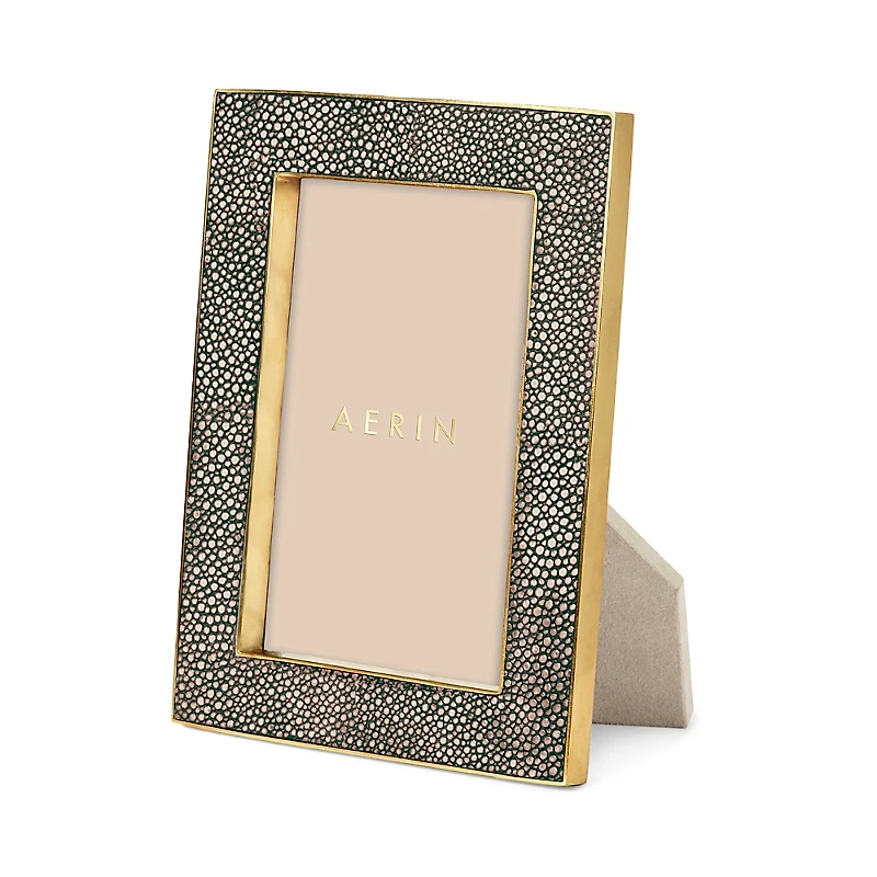 Aerin Classic Shagreen Frame