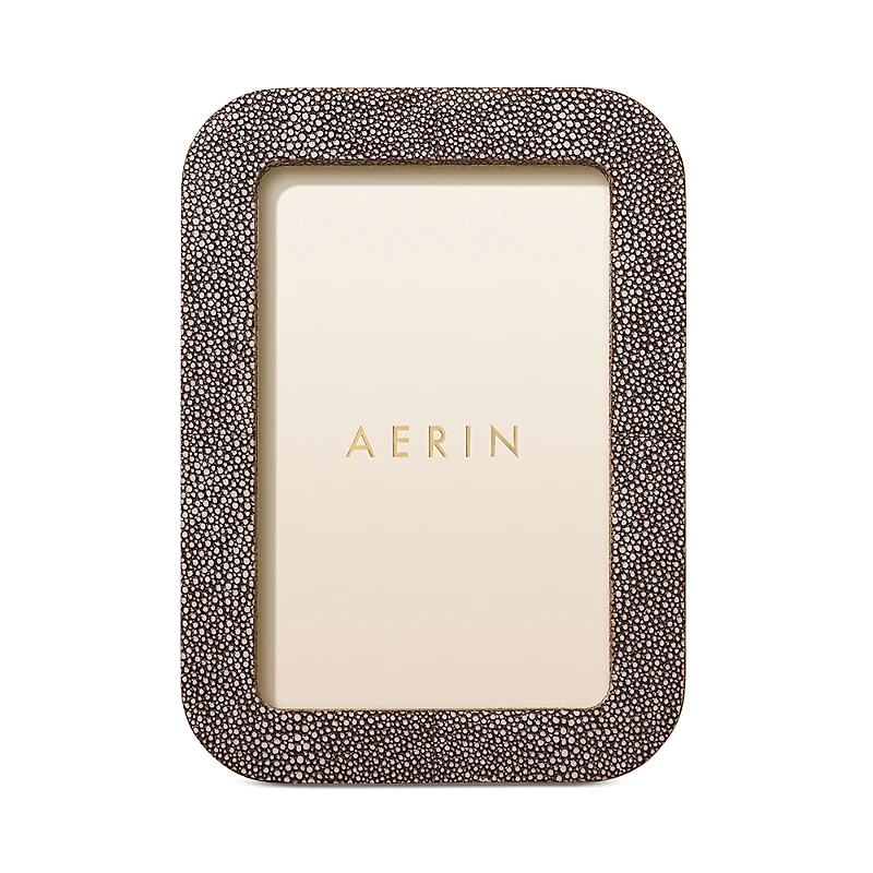 Aerin Modern Shagreen Frame