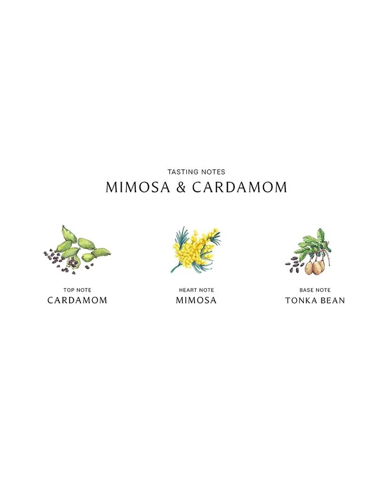Mimosa & Cardamom Cologne