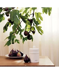 Fresh Fig & Cassis Candle