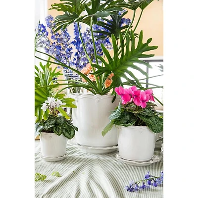 Berry & Thread Whitewash 12" Planter & Saucer