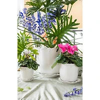 Berry & Thread Whitewash 12" Planter & Saucer