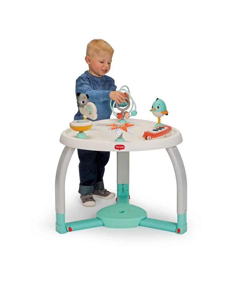 Magical Tales Stationary Activity Center - Ages 6 months+