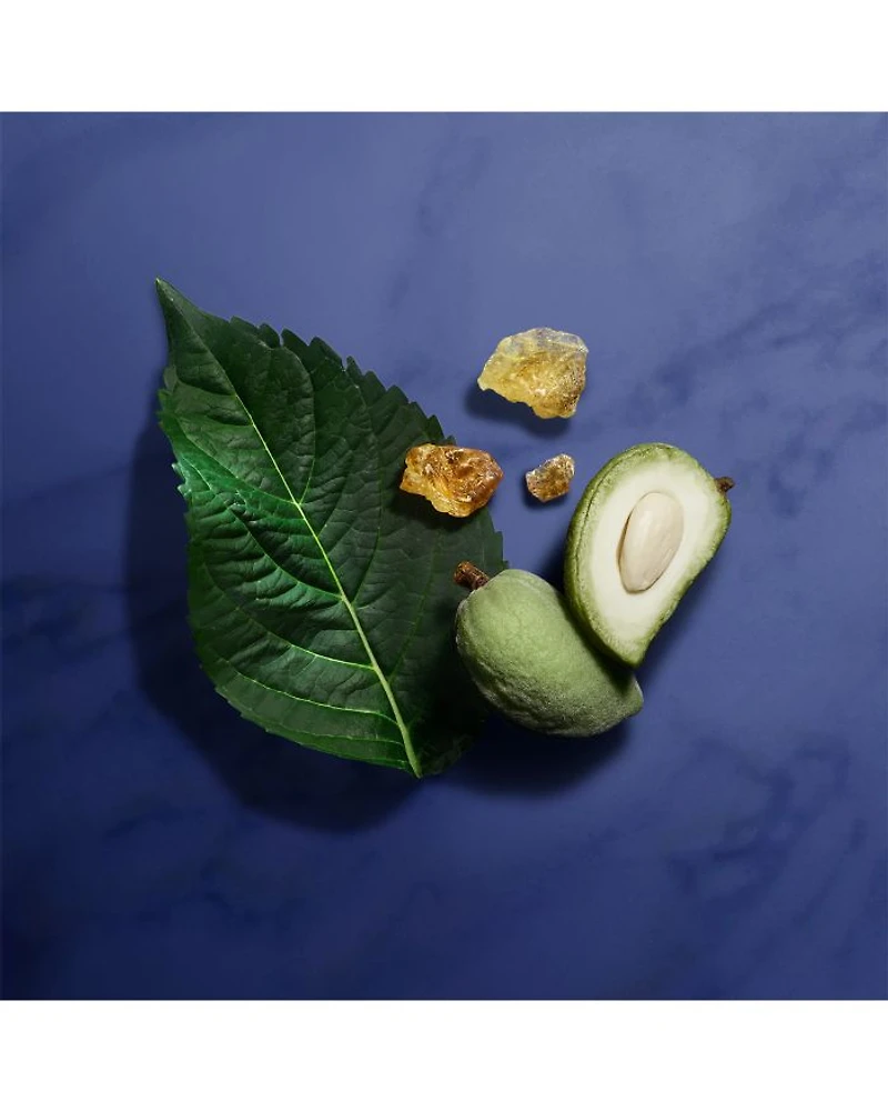 Armani/Privé Indigo Tanzanite Eau de Parfum 3.4 oz.