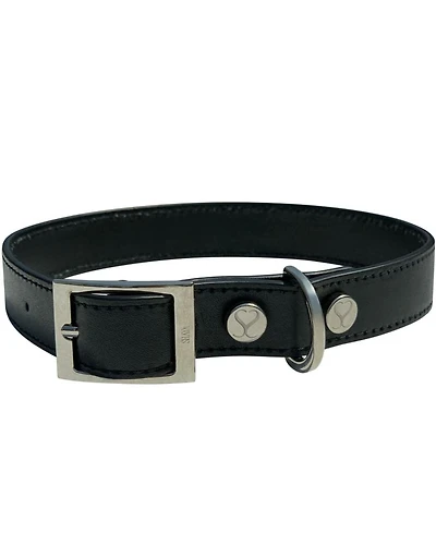 Medium Leather Adjustable & Water Resistant Dog Collar