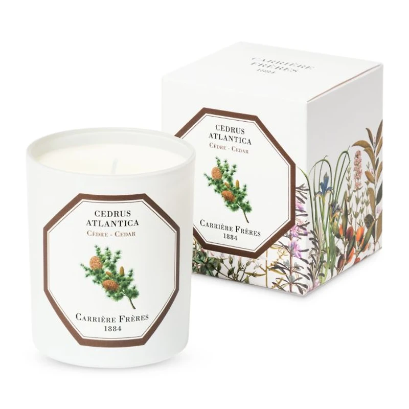 Cedar Scented Candle, 6.5 oz.