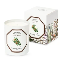 Cedar Scented Candle, 6.5 oz.