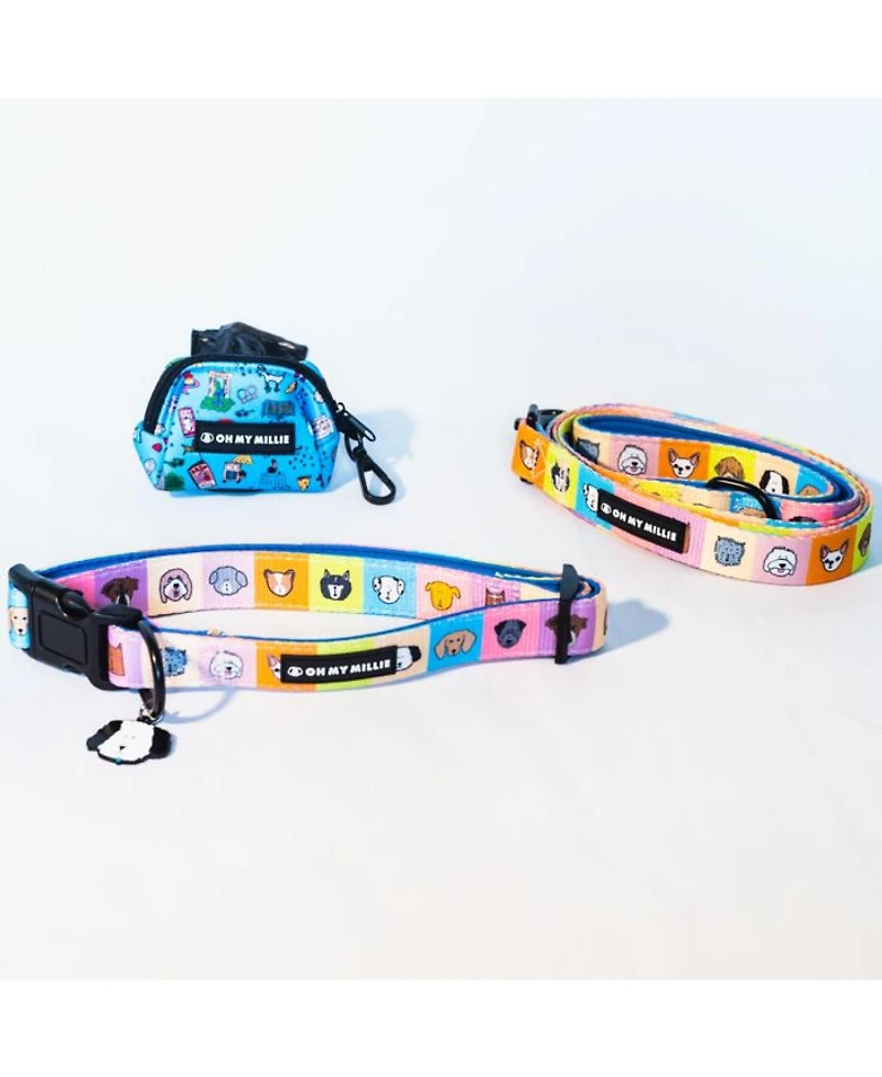 Happy Walking Dog Leash