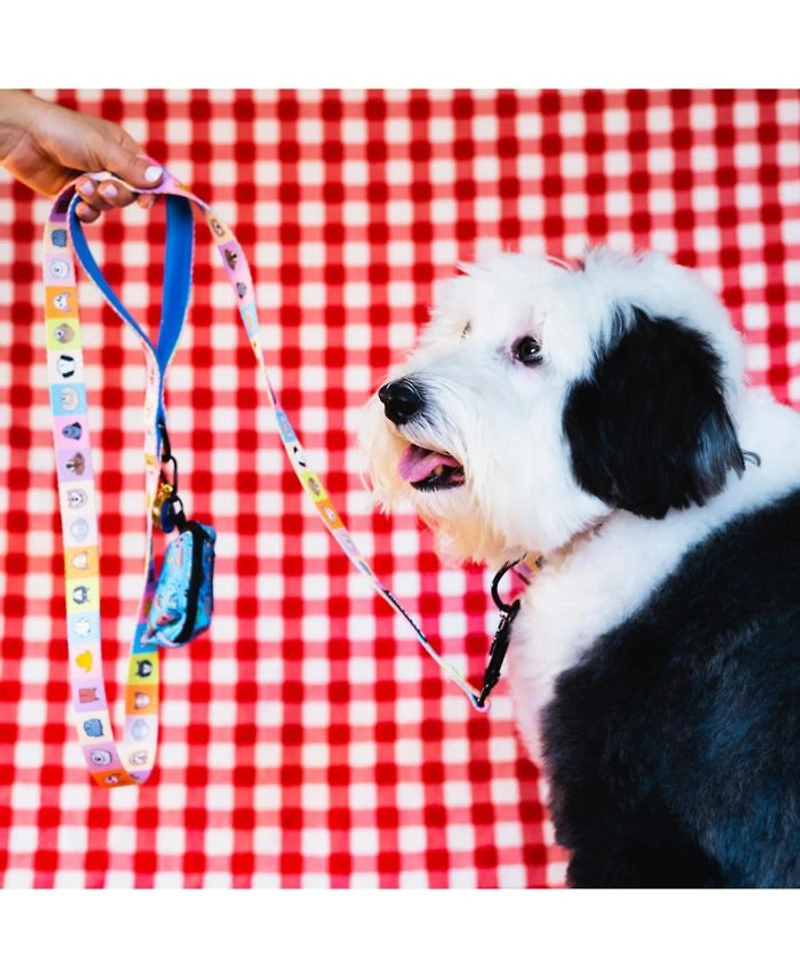 Happy Walking Dog Leash and Poop Bag Holder Set
