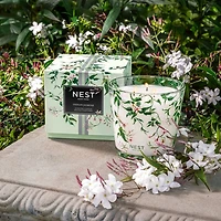 Indian Jasmine Specialty 3-Wick Candle