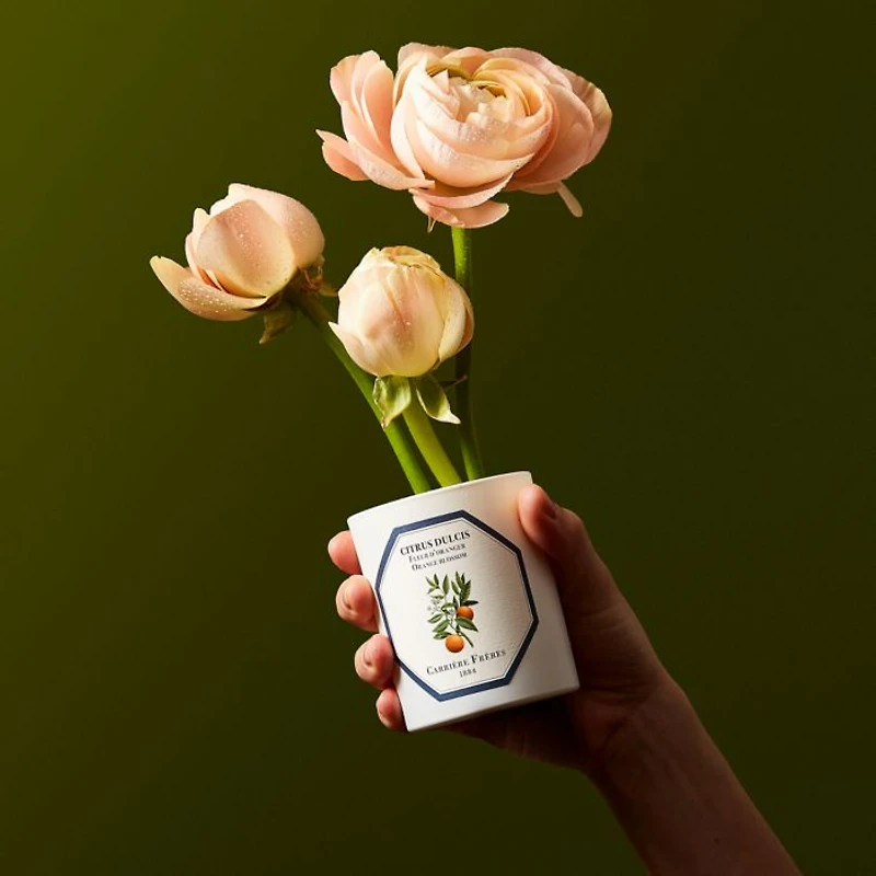 Orange Blossom Candle, 6.5 oz.