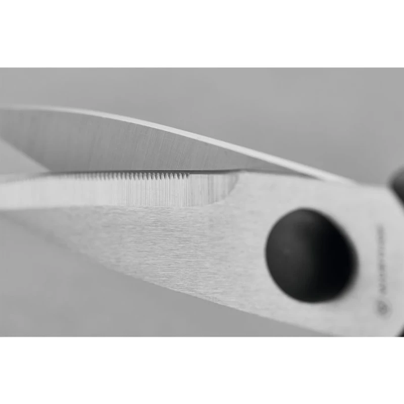 Come Apart Kitchen Shears