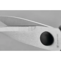 Come Apart Kitchen Shears