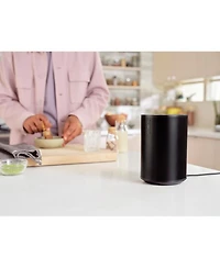 Era 100 Wireless, Smart Speaker